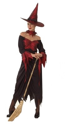 wicked Witch Costume Red and Gold