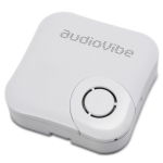 AudioVibe Speaker