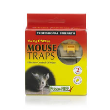 The Big Cheese Mouse Traps x 2