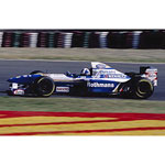 Renault FW17 David Coulthard 1995