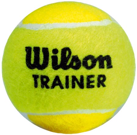Wilson  Trainer Ball