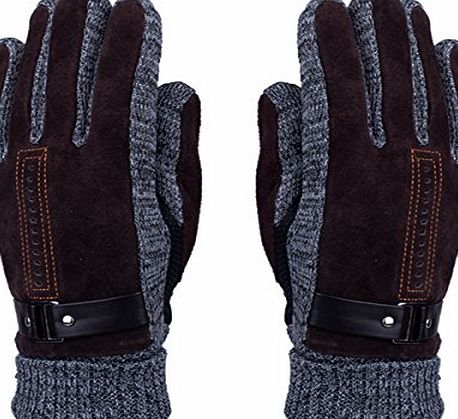 WITERY Mens Winter Leather Gloves - WITERY Thick Warm Fleece Windproof Gloves Cold Proof Thermal Mittens - Ideal for Dress Driving Cycling Motorcycle Camping etc Coffee
