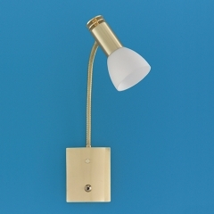 Don Brass Flexible Arm Table Lamp