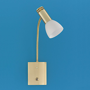 Don Modern Matt Brass Wall Light With A Flexible Arm Spotlight And Fitted Switch