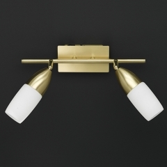 New Jersey Low Energy Brass Double Wall Light