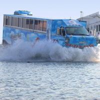 Oasis Adventures Wonder Bus Tour Incl Transfers