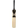 WOODWORM Bronze Hard Drive Adult Cricket Bat