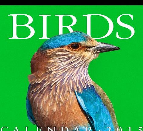 Workman Publishing Audubon Birds Gallery Calendar 2015 (Workman Gallery Calendar)