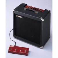 DG60FX-112 Amplifier