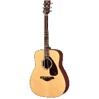 FG700 S Acoustic Guitar- Hi Gloss