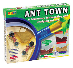 yellowmoon Ant Town