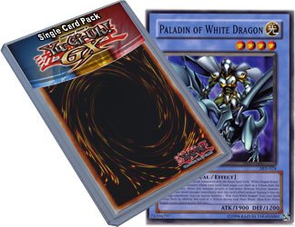 Yu Gi Oh : SKE-024 Unlimited Edition Paladin of White Dragon Common Card - ( YuGiOh Single Card )