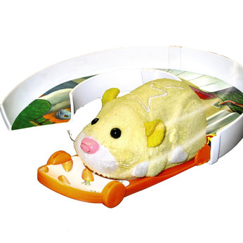 Hamster Play Skateboard