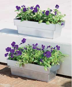Natural Trough Planter Twin Pack