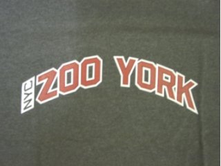 Zoo York Arch T-Shirt